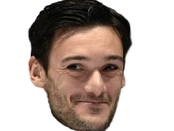 lloris foot edf