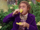 boire-wonka-the-chocolaterie-fleur-cafe-et-other-chapeau-charlie-willy-la