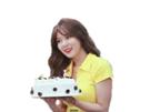 kim-kikoojap-gateau-anniversaire-birthday-kpop-hyuna-cake