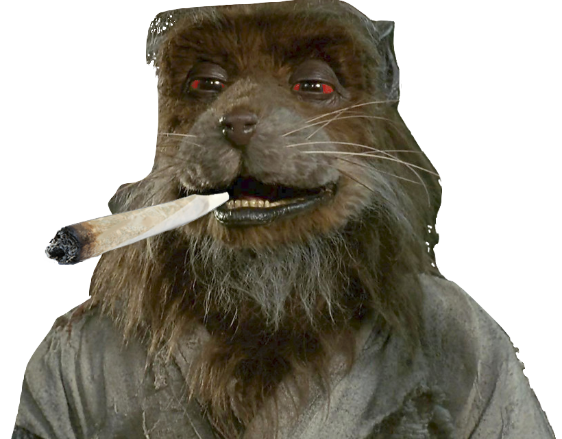 drogue marijuana other rat tortues avenoel bedo avn ninja defonce splinter joint cigarette