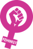 risitas-feminisme-lutte-marion-socialisme-seclin-logo