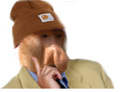 risitas singe perplexe