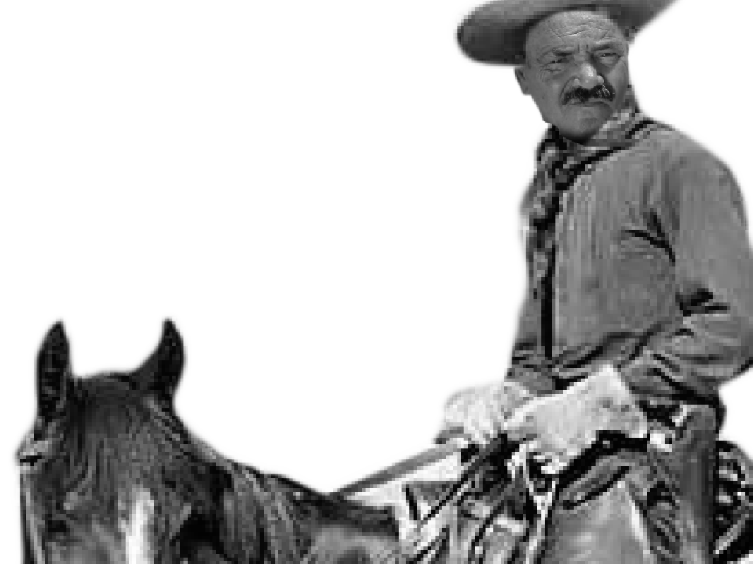 grill risitas western cowboy buffalo