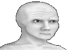 other-hd-wojak-realiste