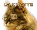 risitas-chatte-chat-larry-silverstein-chance