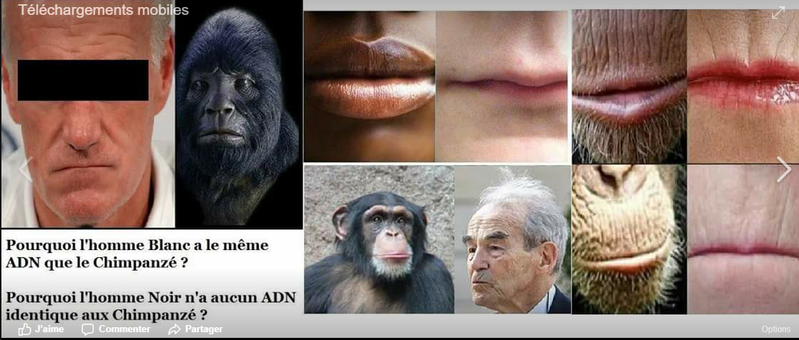 verite politic science commun blanc gene singe caucasien