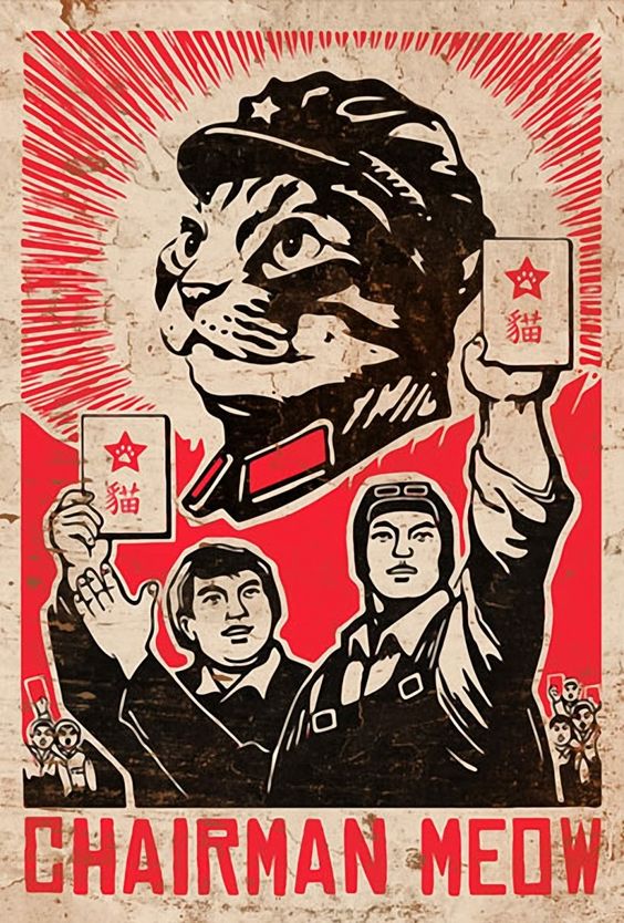 communisme meow chat miaou risitas chine mao revolution chinois cat