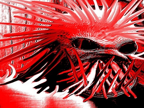 immondice jvc monstre bordel bizarre tordu omg abomination