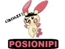 christavalier-juif-pokemon-posipi-circulez-posionipi-pokefeuj