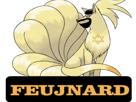 pokemon-feunard-other-juif-risitas