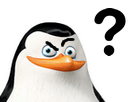 pingouin-question-other-interrogation