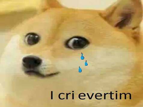 doge larme pleurer triste