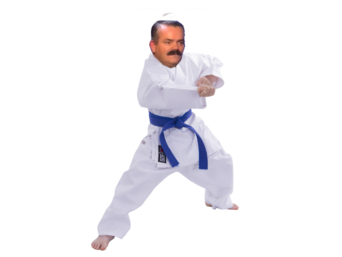 judo enfant risitas