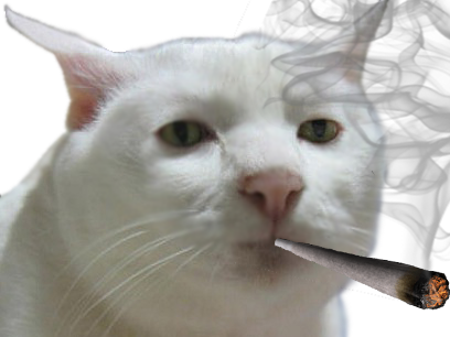 jeanne joint marie blanc chat fumee regard marijuana bedo collector hd other blase