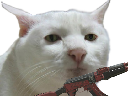 soldat ak other collector chat ak47 arme regard fusil blase hd guerre blanc