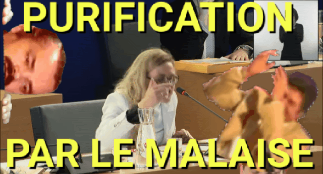 malaise purification rap conseilmunicipal risitas