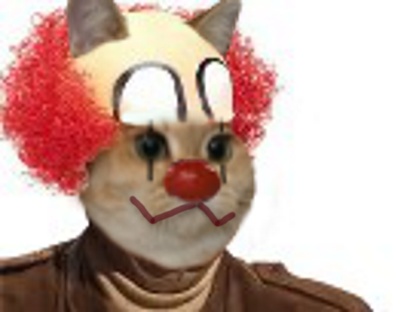 clown animal cheveux chat felin nez levre a rouge