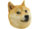 meme-chien-doge-other-maredioa