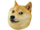 doge-chien-other-meme-maredioa
