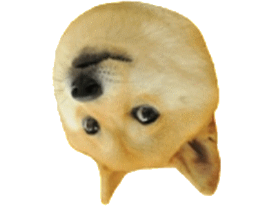 doge chien other maredioa meme