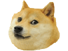 chien-other-doge-maredioa-meme