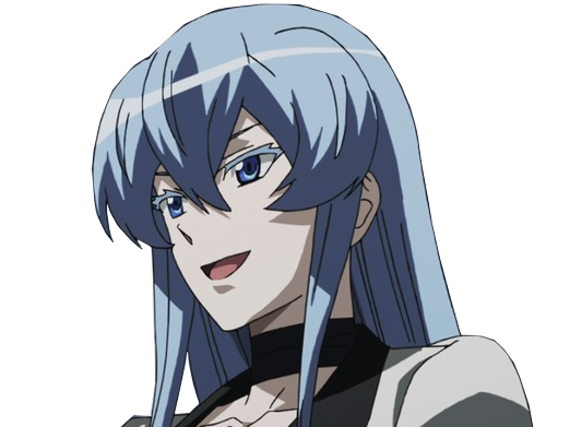 kikoojap akame esdeath