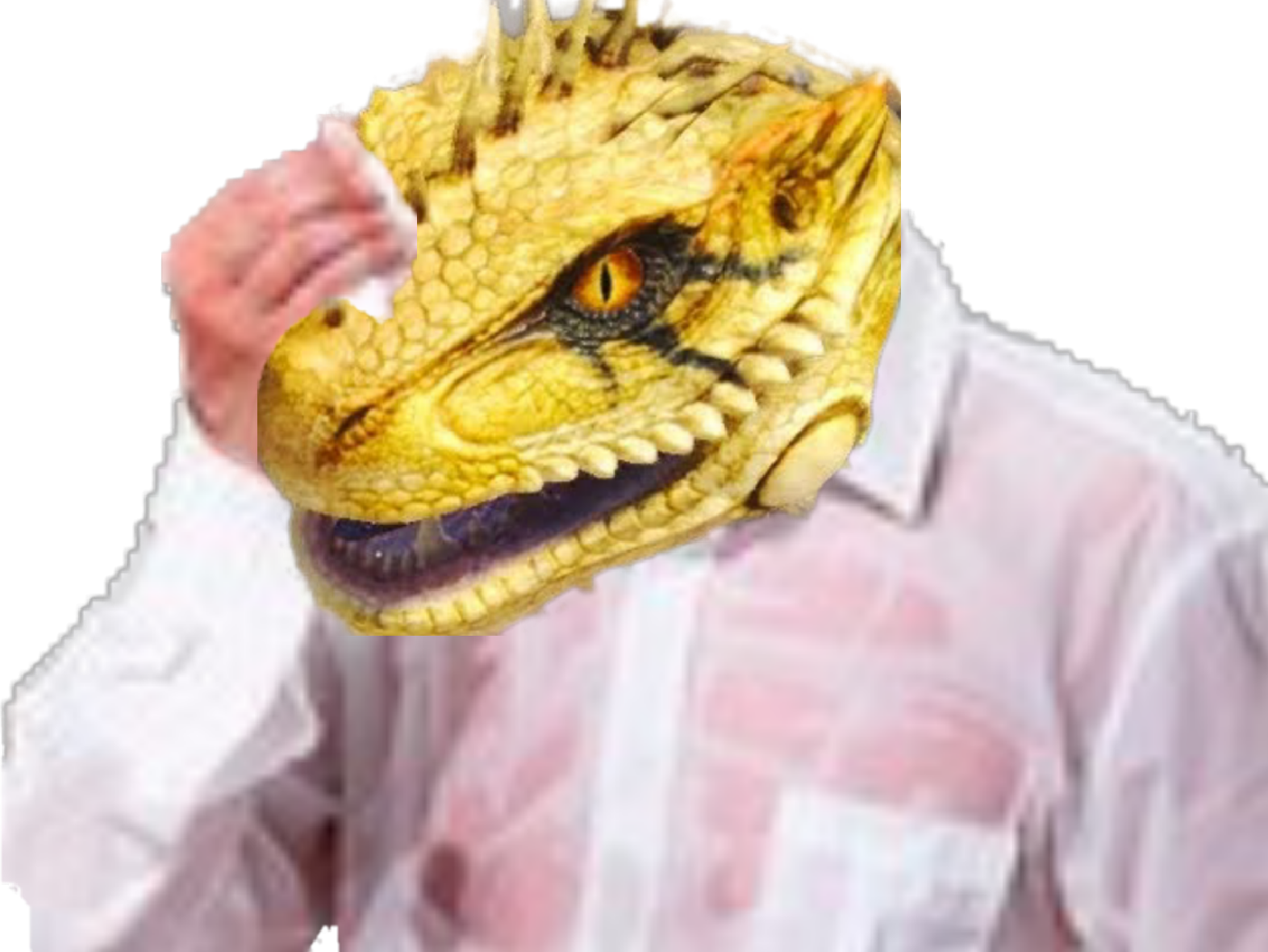 monster grand jagras hunter risitas