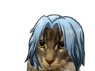 chat-cheveux-gris-other-zihark