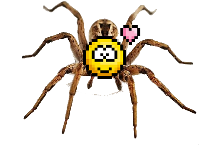 love coeur jvc araignee smiley