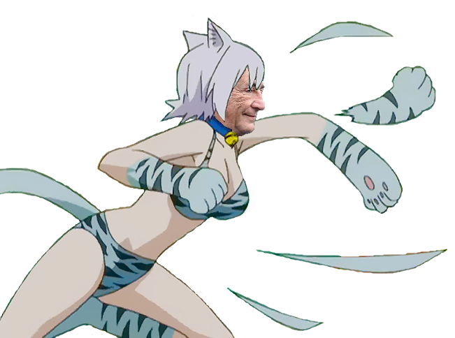 papatte furry lisana furie minou chat christavalier dsk tail fairy kawai