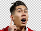 trans-other-liverpool-firmino