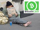 bitcoin-crypto-bitcoincash-risitas