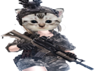 chat-natsumeoka-cat-armee-soldat-jvc