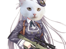 natsumeoka-soldat-arme-cat-chat-jvc