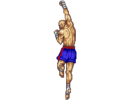 tiger sagat street uppercut fighter