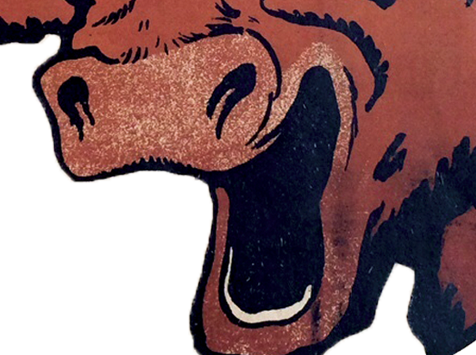 defonce drogue lol vache wachkyrie ptdr jesus mdr risitas mongolien rit rire eussou issou animal other