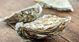 huitres risitas creuse triploide