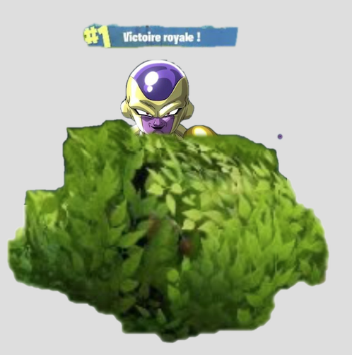 freezergolden top risitas 1