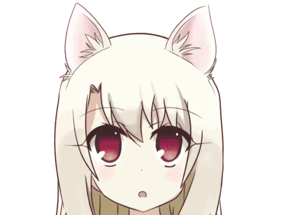 fate illya kikoojap kaleid