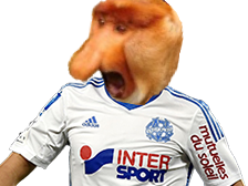 marseille other singe hubert nasique