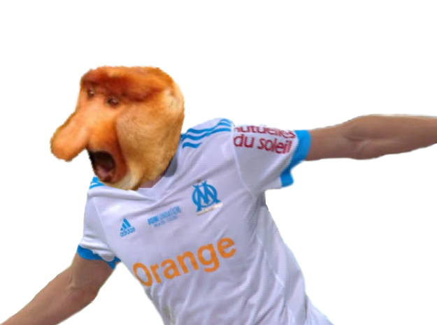 other singe hubert nasique marseille