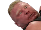 wwe-larry-other-brock-catch-risitas-lesnar