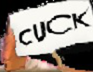 risitas eco panneau cuck lidl aya