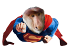 superman-other-nasique-singe-hubert