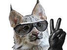 sticker-lunettes-lynx-risitas-chat