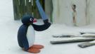 pingouin-pingu-scie-other-bricolage-danger-fou-couper