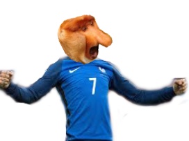 nasique edf risitas singe hubert