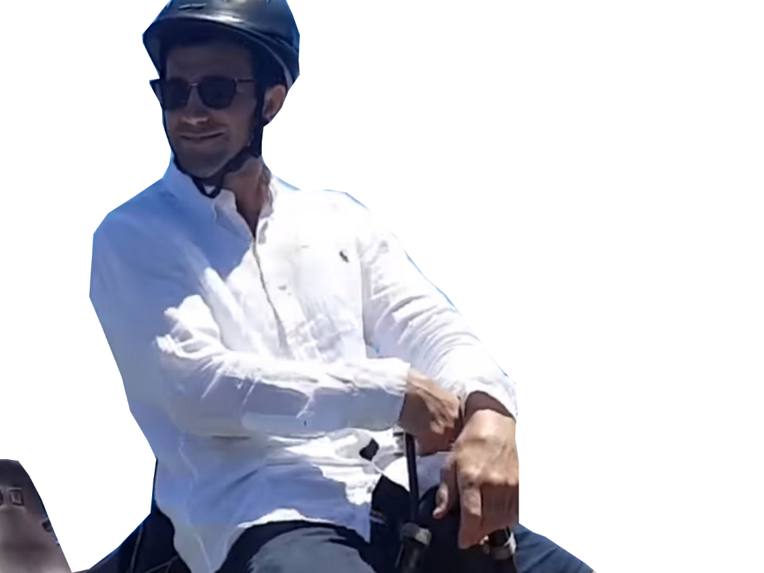 risitas mma ufc rockhold