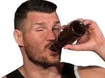 mma bisping ufc
