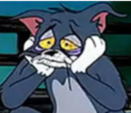 tom tomjerry et jvc jerry